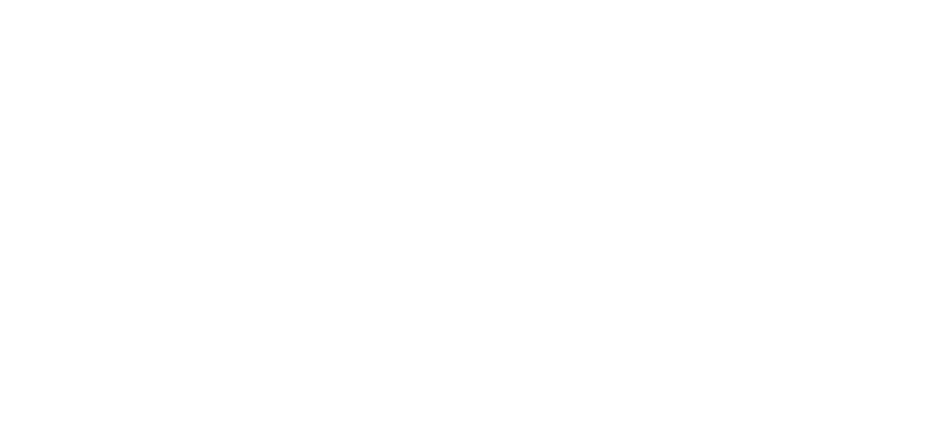 PALM WTR — Everything Elevated