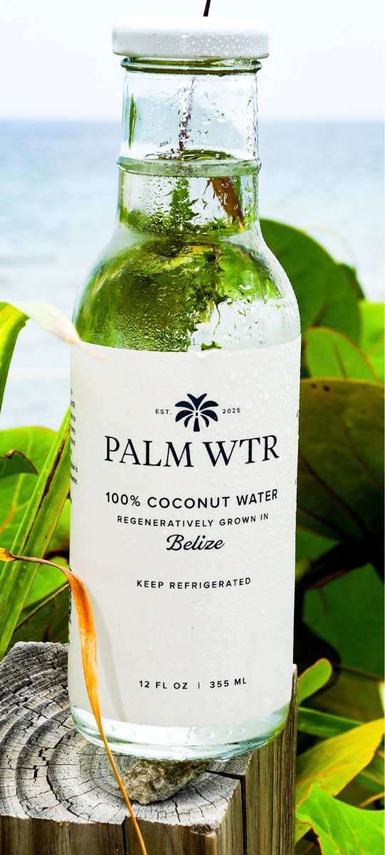 A glass bottle of PALM WTR coconut water on a weathered post by the sea, framed by sea-grape leaves